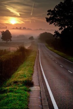 bluepueblo:  Misty Sunset, Trent Park, London, England photo