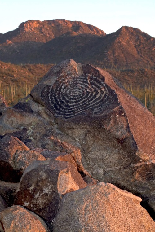 centuriespast:A spiral stone engraving on Signal Hill in Saguaro