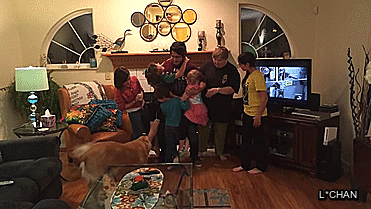 lissachan504:  MARKIMOO AND DOGGIES PART 2