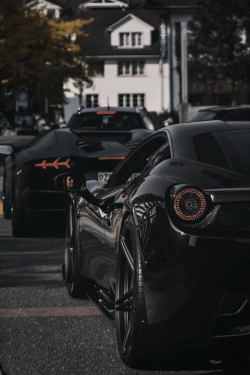 classyxsexxy:  Ferrari x Lamborghini. | cXs