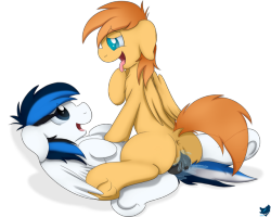 cloufypawsad:  Grateful mare glazing this cutie boys cock keeping