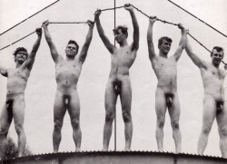 vintagemusclemen:I hope that’s not an electric line they’re