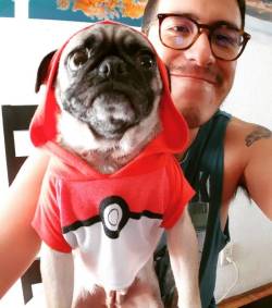 irobstar:I want to be the very best, the Pug Pokemon Trainer