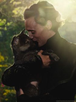 diddlehiddles:  unifiednations:  yusgi:  serenakenobi:  Tom Hiddleston