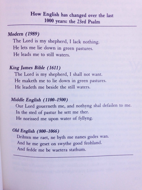 denchgang:  bluecaptions:  How English has changed in the past 1000 years.  the big mans a lad i have fuck all, he lets me have a kip in a field he showed me a pond  