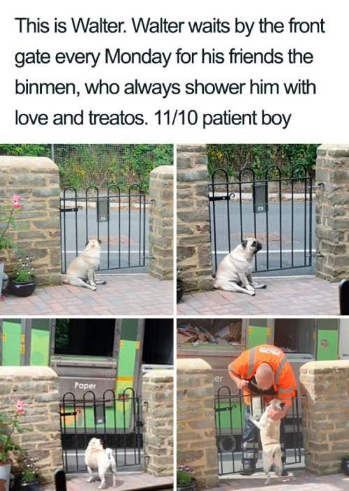 memesandlaughs:  Memes And Laughs