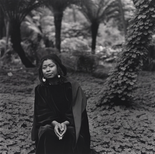 garadinervi:  Alice Walker, February 9, 1944 / 2023(image: Brian