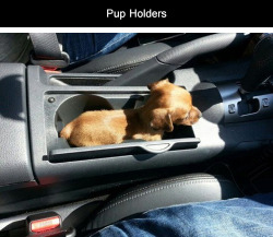 tastefullyoffensive:  Pup Holders [via/via] 