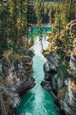 banshy:  Athabasca Falls // Tom Parker    How awesome