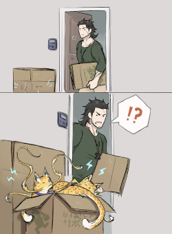 pluma-azurea:  【Domestic AU】[Background] Gladio was just