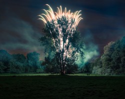 Harry Cory Wright. Harry, Bryan and central poplars. 2013.