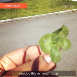 leeannestoddart:  #timehop On this day last year I found a #luckyclover