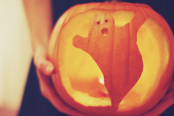 westerus:  pumpkin by coralie.vi on Flickr. 