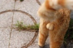 keikozakky:  777NEWS: ω  