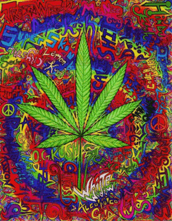 good vibes, good times