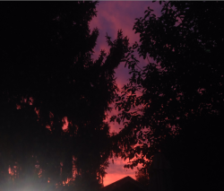 unfuckly:  sunrise today 