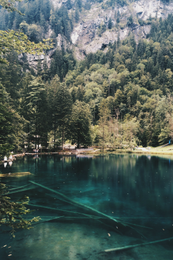 expressions-of-nature:  by Freivalds 
