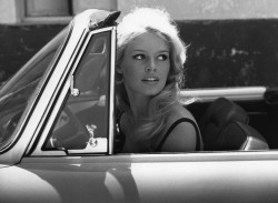 olivier-serrano:  Brigitte Bardot