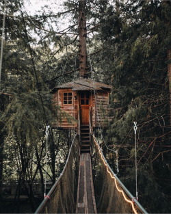 upknorth:  Escaping Mondays. Treetop cabin solitude. Stunning
