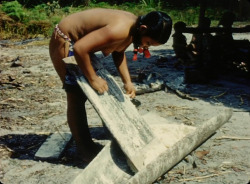   Guyanese woman preparing cassava, from David Attenborough&rsquo;s Zoo Quest in Colour.   