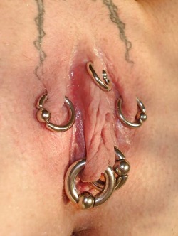 pussymodsgalore  HCH, outer labia and inner labia piercings,