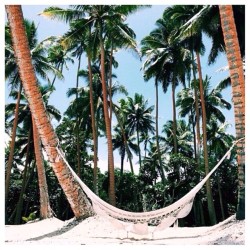 Friday vibes ☼ #castaway  (at www.castawaylabel.com)