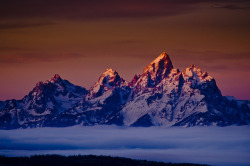 spectral-ozone:  Tetons Rising! ~ A new view of the Grand Tetons