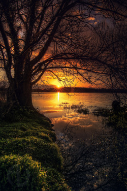 epicurean-world:  wowtastic-nature:  💙 lac de beaulieu on