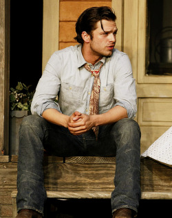 dailyevanstan:    Sebastian Stan in Picnic at the American Airlines