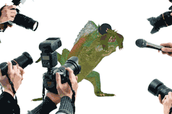 thisisdecision2016:  Exclusive footage of Wretched Tooth cornered
