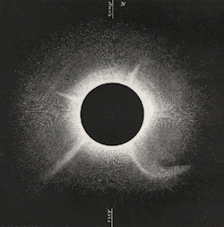 magictransistor:  G. Tempel, Drawings of the 1860 eclipse; Fourteen