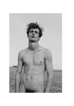 taur:  Felix Gesnouin by Fanny Latour-Lambert