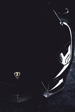 50-30-20:  italian-luxury:  Black Bull  -  Lamborghini Aventador