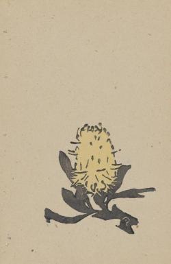 berndwuersching:  Geraldine RedeBanksia (from A little book of