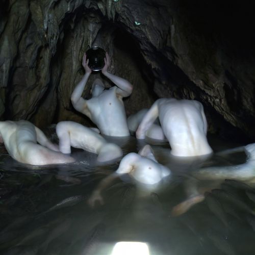beyond-the-pale:   Joseph Häxan - Erotic Earth