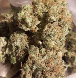 weedporndaily:  Lemon desiel smelling like NYC sour desiel 🍋⛽❄⛽🍋❄