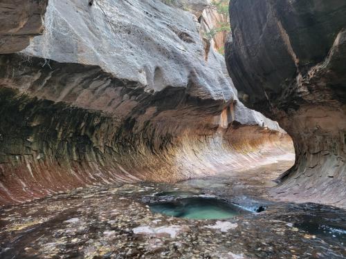 oneshotolive:  The Subway, Zion National Park, Utah [OC] [4000x3000]