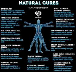 purenaturalcures:  the-more-u-know:   Common ailments normally respond very well to the treatment with herbal remedies and fruit and vegetables. Using alternative means to treat your ailments is a common practice in all areas of the world, with the most