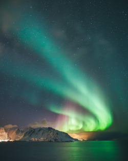 furstyphoto:  Northern Lights over Lofoten, Norway 