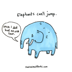 sadanimalfacts:  I’ve got some bad news about elephants.