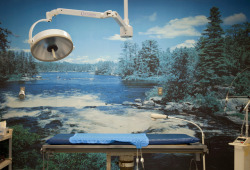 1030-42929:  Flannery Animal Hospital, Operating Room, 2009Mark