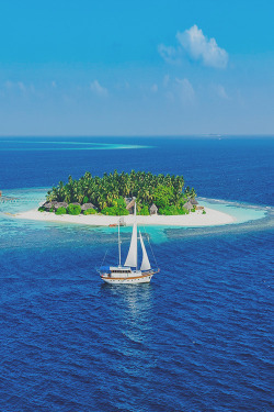 earthlycreations:  Maldivian Island 