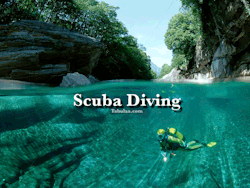 tabulaa:  Bucket List - Go Scuba Diving