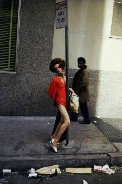 erezionecanina:     American South taken by William Eggleston