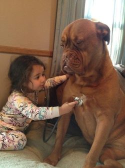 tallguysofly:  Doc give it to me straight, I’m feeling ruff.