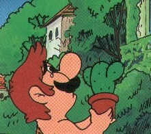 suppermariobroth:  Just Mario crying while holding a cactus.