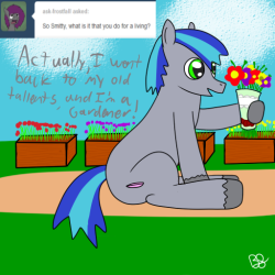 ask-smittypony:  I Just love flowers!  For those who are wondering