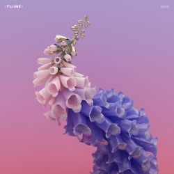 voulx: Aesthetic Album Covers of 2016 Flume - Skin    dvsn -