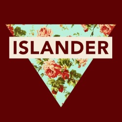 If you like deftones you would like islander