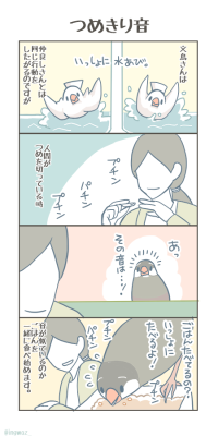 bunchobox:    どうも音が似ているみたいです。 